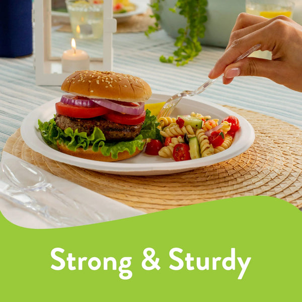 Classic Premium Dinner Paper Plates, 10 3/8”, White - 3 packs - 30 Count per pack - plus 3 My Outlet Mall Resealable Storage Pouches