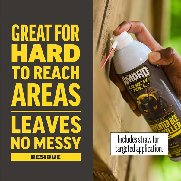 Quick Kill Carpenter Bee, Carpenter Ant & Termite Killer Foam - 1 pack - 18 oz per pack - plus 3 My Outlet Mall Resealable Storage Pouches