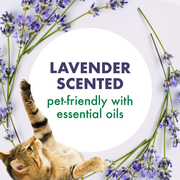 Forever Fresh Cat Litter Deodorizer, Pet-Friendly Lavender Scent -  2 packs - 33 oz per pack - plus 3 My Outlet Mall Resealable Storage Pouches