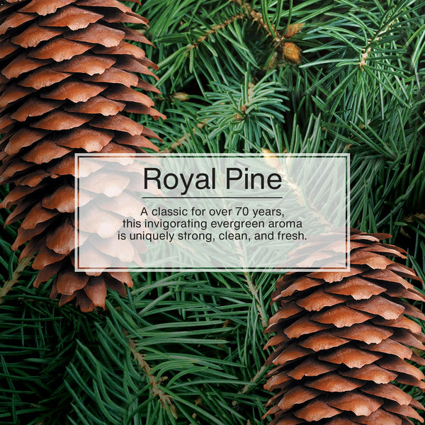 Air Freshener Royal Pine Fragrance 3 count - 1 pack - plus 3 My Outlet Mall Resealable Storage Pouches