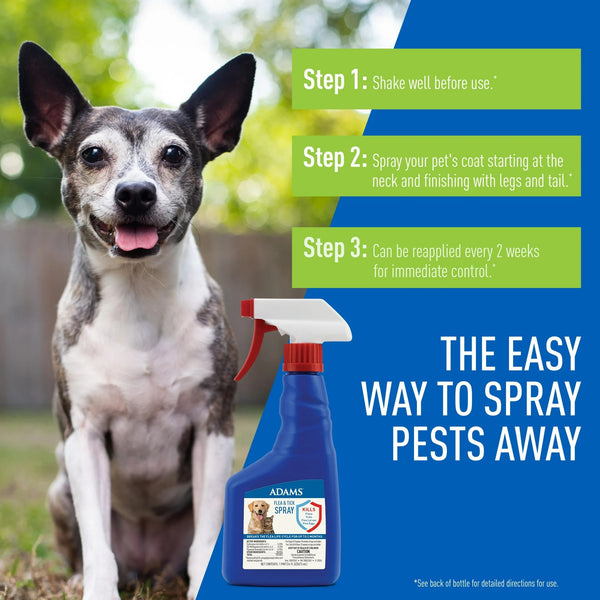 Flea and Tick Spray for Cats, Kittens, Dogs and Puppies - 1 pack - 16 oz per pack - plus 3 My Outlet Mall Resealable Storage Pouches