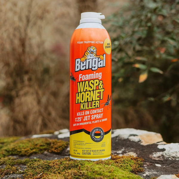 Foaming Wasp & Hornet Killer, Aerosol Can - 1 pack - 16 oz per pack - plus 3 My Outlet Mall Resealable Storage Pouches