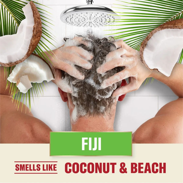 2in1 Men's Shampoo and Conditioner, All Hair Types, Fiji - 2 packs - 22Fl oz per pack - plus 3 My Outlet Mall Resealable Storage Pouches