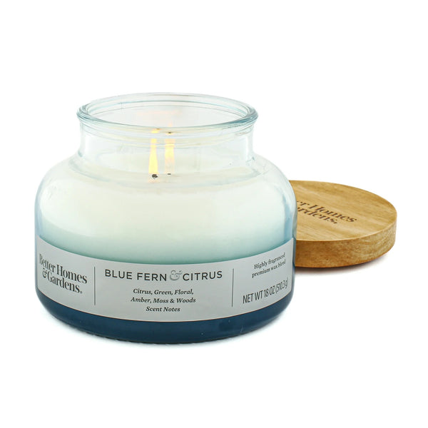 Blue Fern & Citrus Scented 2-Wick Ombre Bell Jar Candle - 2 packs - 18 oz per pack - plus 3 My Outlet Mall Resealable Storage Pouches