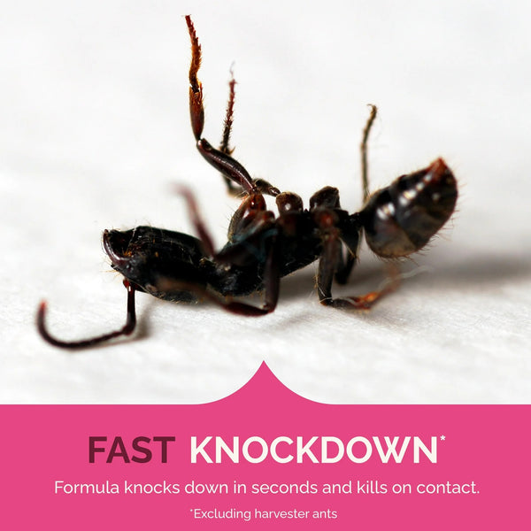 Ant, Roach & Spider Killer, Fresh Floral Scent Formula - 1 pack - 17.5 oz per pack - plus 3 My Outlet Mall Resealable Storage Pouches