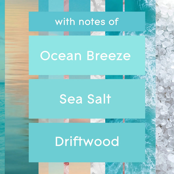 Automatic Spray Refills, Air Freshener, Infused with Essential Oils, Sky & Sea Salt - 3 packs - 2 count per pack - plus 3 My Outlet Mall Resealable Storage Pouches