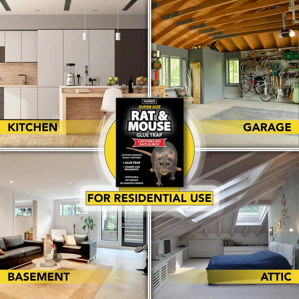 Super-Sized Rat and Mouse Glue Trap with Lure - 3 packs - plus 3 My Outlet Mall Resealable Storage Pouches