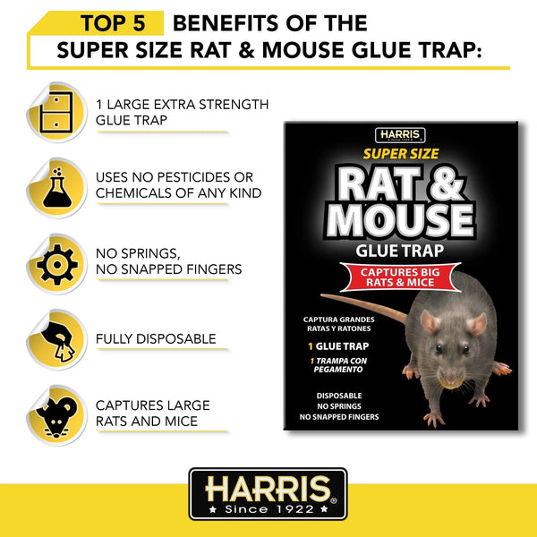 Super-Size Rat and Mouse Glue Trap with Lure and Trap  - 2 packs - plus 3 My Outlet Mall Resealable Storage Pouches
