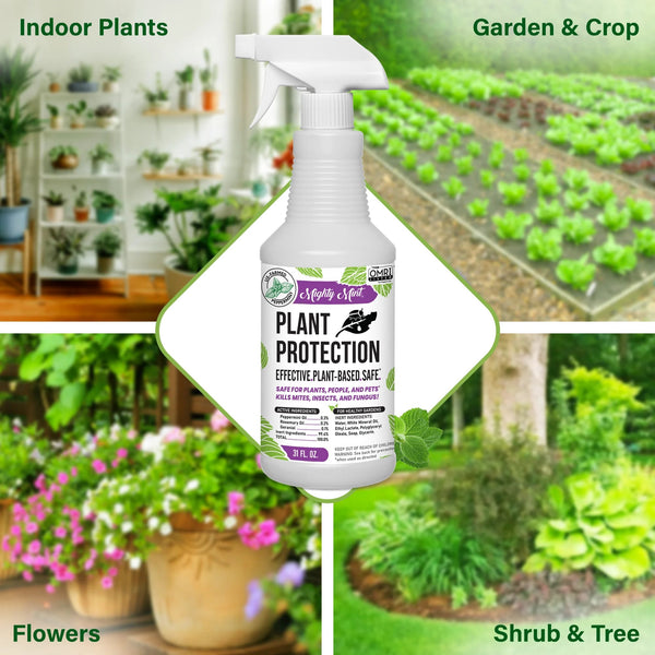 Plant Protection Pest Spray Peppermint for Spider Mites, Fungus, Insects -  2 packs - 31 oz per pack - plus 3 My Outlet Mall Resealable Storage Pouches