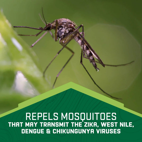 Family Insect Repellent, Deet-Free, Lightweight Aerosol Spray Repels Mosquitoes for 8hr - 3 packs - 4 oz per pack - plus 3 My Outlet Mall Resealable Storage Pouches