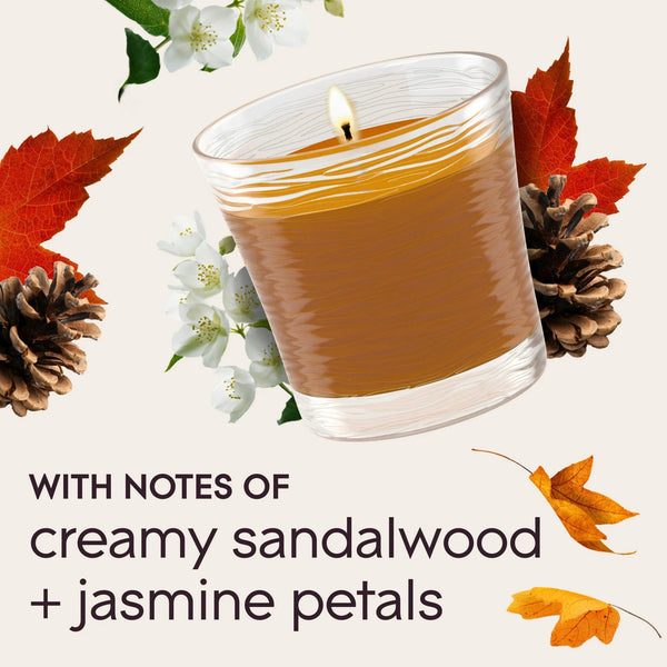 Single Wick Candles, Cashmere Woods, 2 Candles - 3 packs - plus 3 My Outlet Mall Resealable Storage Pouches