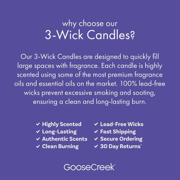 Boardwalk Cone Scented 3-Wick Jar Candle - 1 pack - 14.5 oz per pack - plus 3 My Outlet Mall Resealable Storage Pouches
