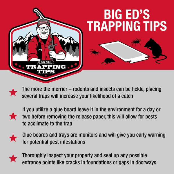 Mouse and Insect Glue Board Traps, Pre-baited and Ready to Use Indoors, Safe, non-toxic, and Easy to Use - 2 pack - plus 3 My Outlet Mall Resealable Storage Pouches