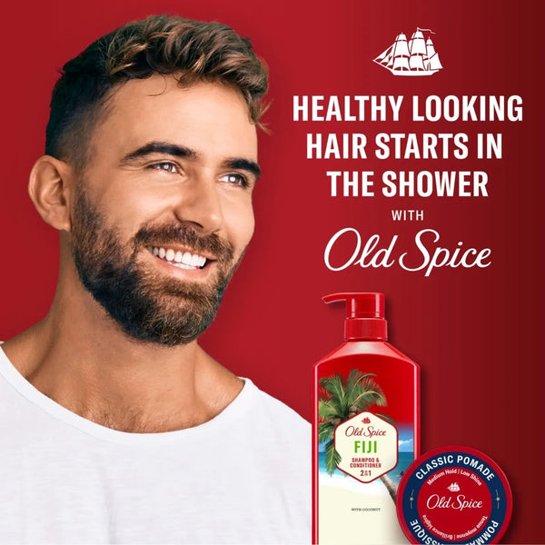 2in1 Men's Shampoo and Conditioner, All Hair Types, Fiji - 2 packs - 22Fl oz per pack - plus 3 My Outlet Mall Resealable Storage Pouches