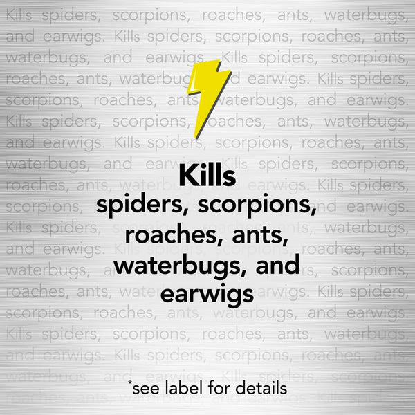 Max Indoor & Outdoor Spider & Scorpion Killer Bug Spray - 2 packs - 12 oz per pack - plus 3 My Outlet Mall Resealable Storage Pouches