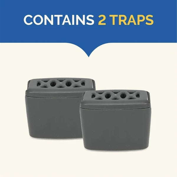 Flying Insect Trap, Attracts and Captures House and Fruit Flies - 2 packs - 2 Count - plus 3 My Outlet Mall Resealable Storage Pouches