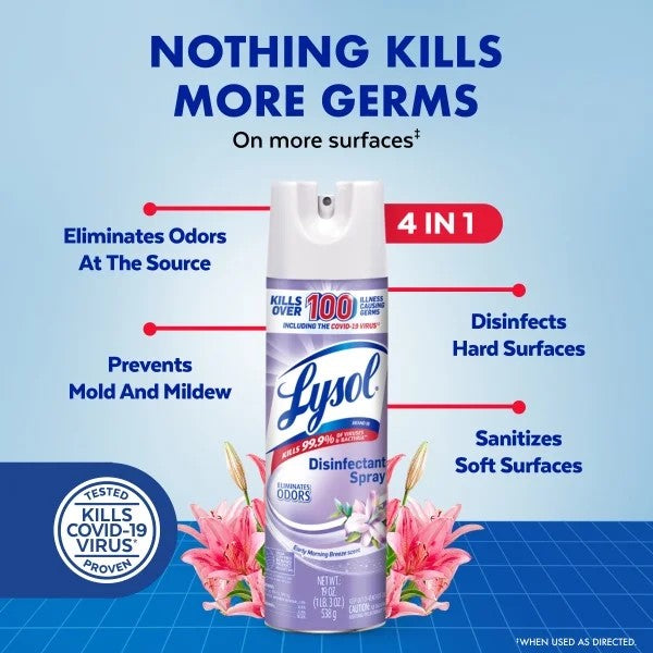 Disinfectant Spray, Sanitizing/Antibacterial Disinfecting and Deodorizing, Early Morning Breeze - 1 pack - 19 oz per pack - plus 3 My Outlet Mall Resealable Storage Pouches