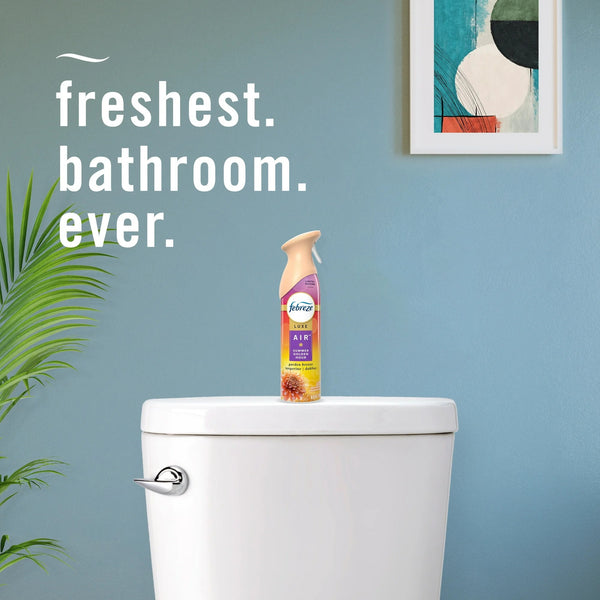Air Freshener Spray, Odor-Fighting Room Spray, Summer Golden Hour Scent - 1 pack - 8.8 oz per pack - plus 3 My Outlet Mall Resealable Storage Pouches