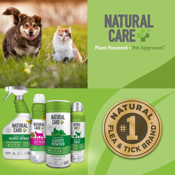 Flea and Tick Carpet Powder Canister - 1 pack - 8.1 oz per pack - plus 3 My Outlet Mall Resealable Storage Pouches