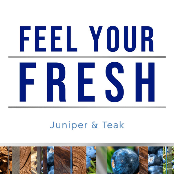 Automatic Spray Refill, Air Freshener, Infused with Essential Oils, Juniper & Teak - 2 packs - 6.2 oz per pack - plus 3 My Outlet Mall Resealable Storage Pouches