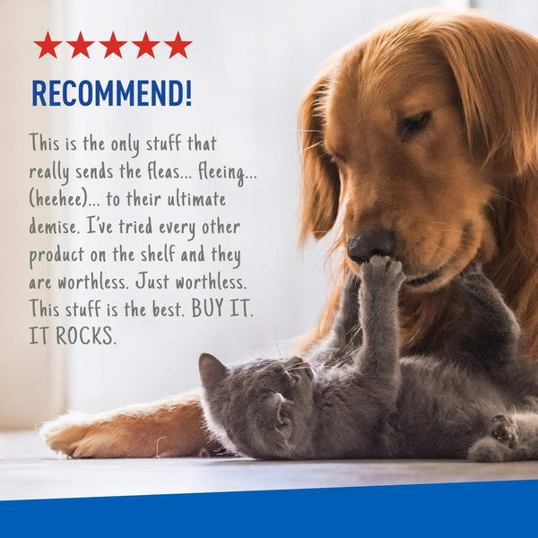 Flea and Tick Spray for Cats, Kittens, Dogs and Puppies - 1 pack - 16 oz per pack - plus 3 My Outlet Mall Resealable Storage Pouches