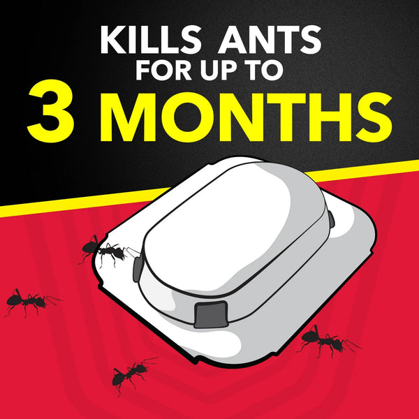 Ant Baits Indoor Ant Insect Killer Traps, Stocking Stuffers - 3 packs - plus 3 My Outlet Mall Resealable Storage Pouches