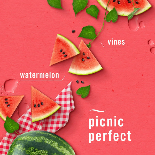 Bathroom Air Freshener, Small Spaces Odor-Fighting, Watermelon Scent, 2 Count - 1 pack - plus 3 My Outlet Mall Resealable Storage Pouches