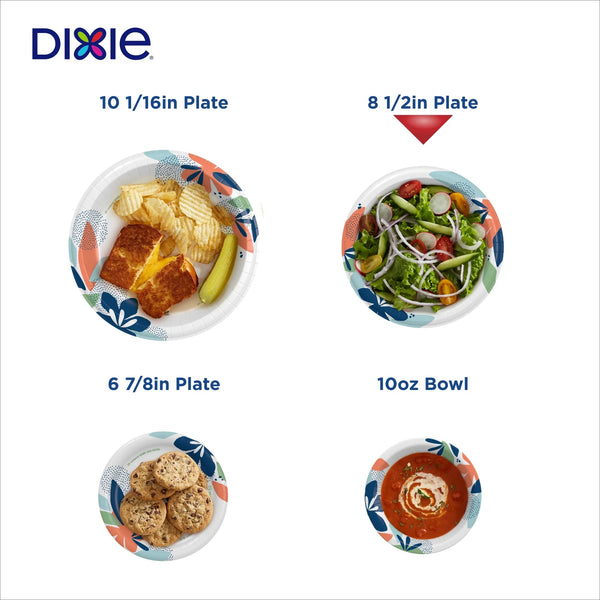 Everyday Disposable Paper Plates, 8.5", Multi-Color - 1 pack - 100 Count per pack - plus 3 My Outlet Mall Resealable Storage Pouches