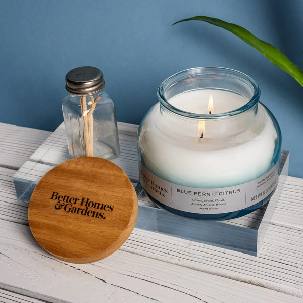 Blue Fern & Citrus Scented 2-Wick Ombre Bell Jar Candle - 2 packs - 18 oz per pack - plus 3 My Outlet Mall Resealable Storage Pouches