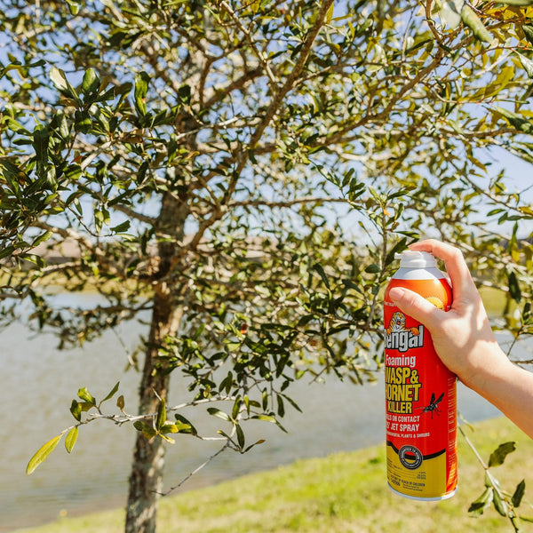 Foaming Wasp & Hornet Killer, Aerosol Can - 1 pack - 16 oz per pack - plus 3 My Outlet Mall Resealable Storage Pouches