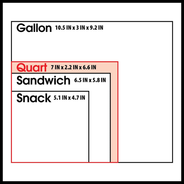 Fresh Seal Slider Zipper Bags, Gallon Storage  - 3 packs -  40 Count per pack - plus 3 My Outlet Mall Resealable Storage Pouches