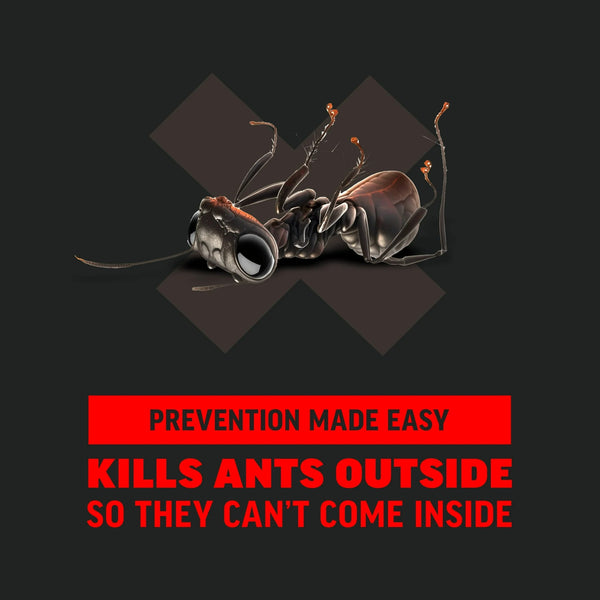Ant Block Home Perimeter Insect Killer Bait, Powder - 1 pack - 24 oz per pack - plus 3 My Outlet Mall Resealable Storage Pouches