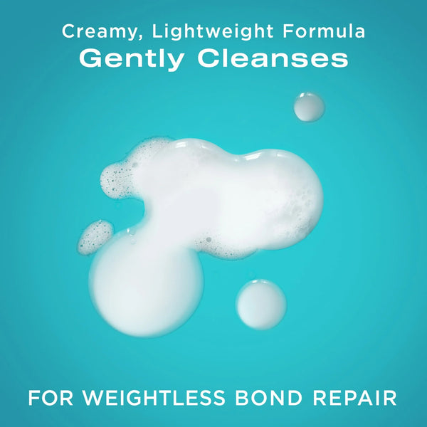 Repair and Protect Bond Protein Repair Shampoo - 1 pack - 13Fl oz per pack - plus 3 My Outlet Mall Resealable Storage Pouches