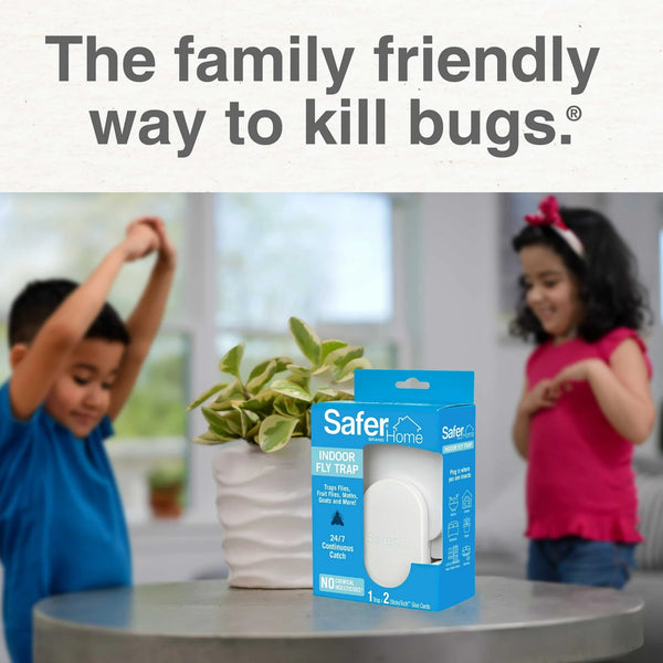 Indoor Fly Trap, 1 Trap, 2 Glue Cards - 1 pack - plus 3 My Outlet Mall Resealable Storage Pouches