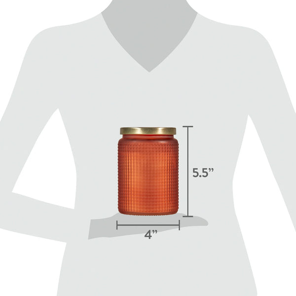 Citronella 2- Wick Glass Outdoor Jar Candle - 2 packs - 18 oz per pack - plus 3 My Outlet Mall Resealable Storage Pouches