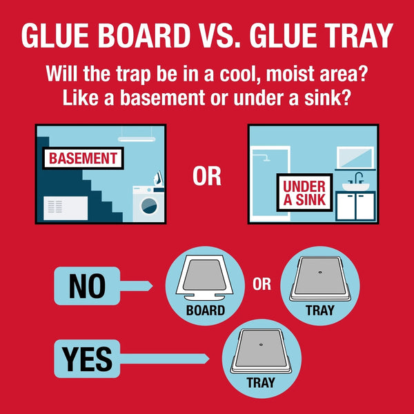 Mouse and Insect Glue Board Traps, Pre-baited and Ready to Use Indoors, Safe, non-toxic, and Easy to Use - 2 pack - plus 3 My Outlet Mall Resealable Storage Pouches