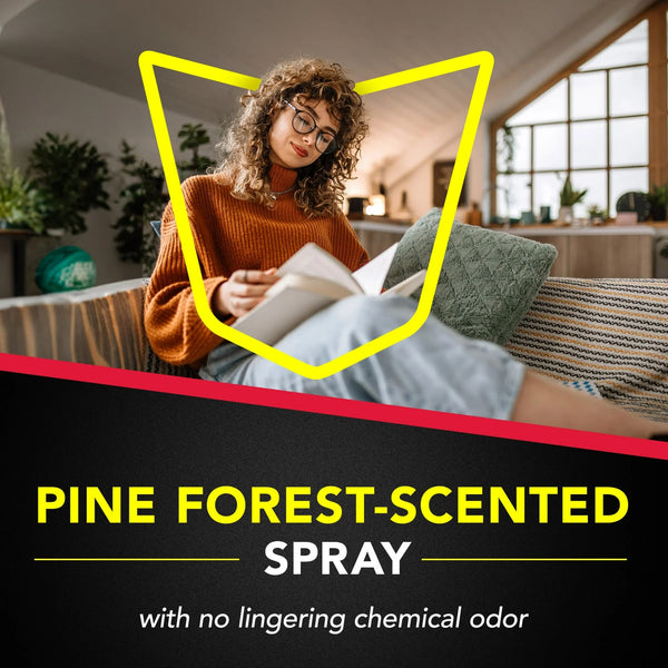Ant Killer 26, Insecticide Spray for Home, Pine Forest Fresh Scent - 1 pack - 17.5 oz per pack - plus 3 My Outlet Mall Resealable Storage Pouches