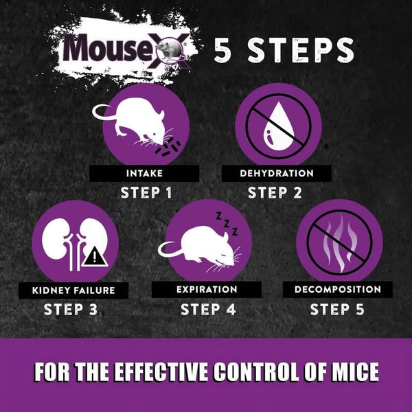Ready-to-Use Mouse Killer Bait Trays - 2 packs - 2 Count - plus 3 My Outlet Mall Resealable Storage Pouches