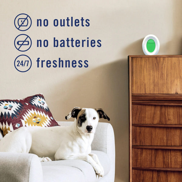 Air Freshener, Small Spaces Odor-Fighting, Pet Fresh Scent, 2 Count - 2 packs - plus 3 My Outlet Mall Resealable Storage Pouches