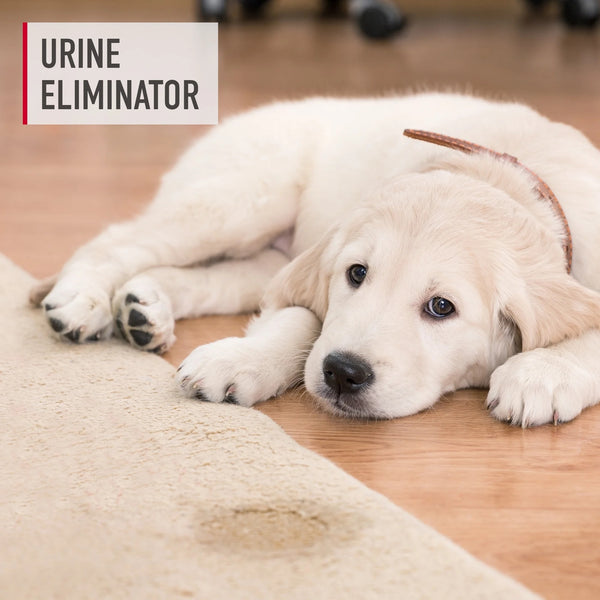 Pet Urine Eliminator Trigger Spray for Carpet and Upholstery - 1 pack - 22 oz per pack - plus 3 My Outlet Mall Resealable Storage Pouches