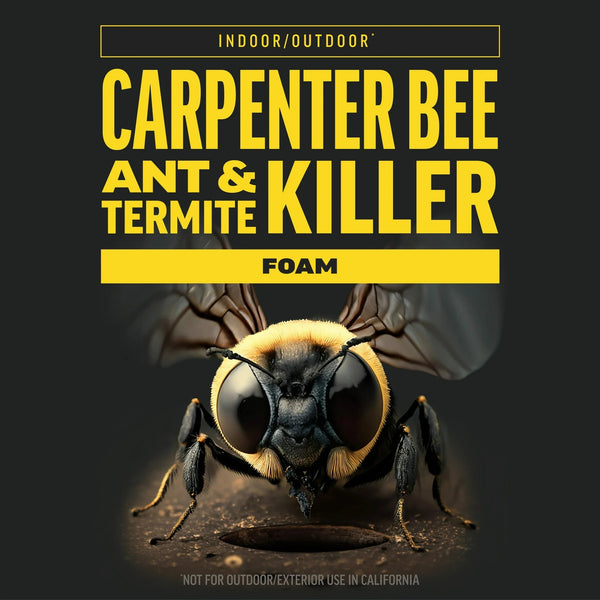 Quick Kill Carpenter Bee, Carpenter Ant & Termite Killer Foam - 1 pack - 18 oz per pack - plus 3 My Outlet Mall Resealable Storage Pouches