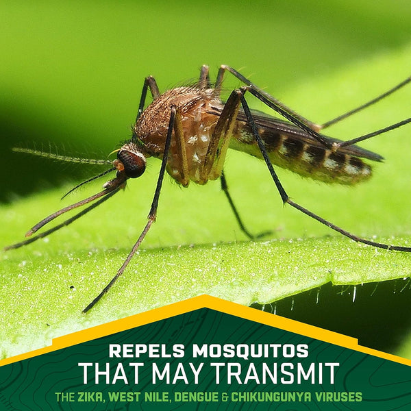 Plant-Based Lemon Eucalyptus Insect Repellent, Repels Mosquitoes for up to 6 Hours - 2 packs - 4 oz per pack - plus 3 My Outlet Mall Resealable Storage Pouches