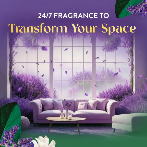 Plug in Scented Oil Refill, Air Freshener, Essential Oils, Lavender and Chamomile - 3 packs - 2 Count per pack - plus 3 My Outlet Mall Resealable Storage Pouches