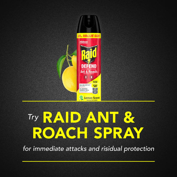 Defend Indoor Defense System Roach and Ant Killer Spray Value Size - 1 pack - 20 oz per pack plus 3 My Outlet Mall Resealable Storage Pouches
