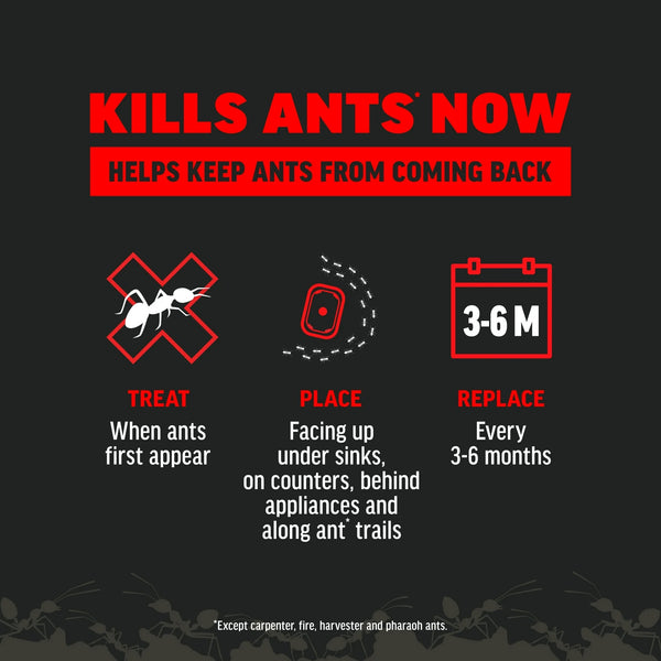 Ant Kills Ant Killer Bait Station - 2 packs - plus 3 My Outlet Mall Resealable Storage Pouches