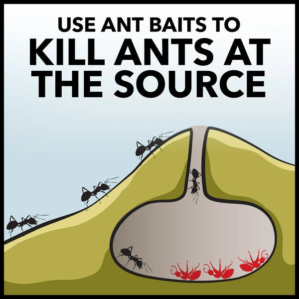 Ant Baits Indoor Ant Insect Killer Traps, Stocking Stuffers - 3 packs - plus 3 My Outlet Mall Resealable Storage Pouches