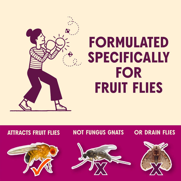 FlyPunch Fruit Fly Trap - 1 pack - 6fl oz per pack - plus 3 My Outlet Mall Resealable Storage Pouches