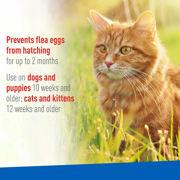 Flea and Tick Spray for Cats, Kittens, Dogs and Puppies - 1 pack - 16 oz per pack - plus 3 My Outlet Mall Resealable Storage Pouches