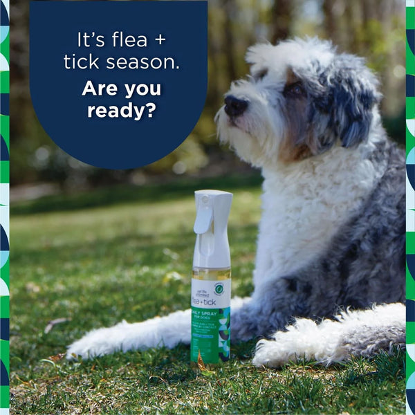 Unlimited Spray Flea & Tick Daily Treatment for Dogs - 2 packs - 10 oz per pack - plus 3 My Outlet Mall Resealable Storage Pouches