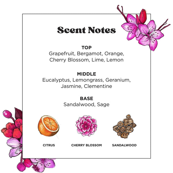 Before-You-Go Toilet Spray, Cherry Blossom Sandalwood - 2 packs - 2 oz per pack - plus 3 My Outlet Mall Resealable Storage Pouches